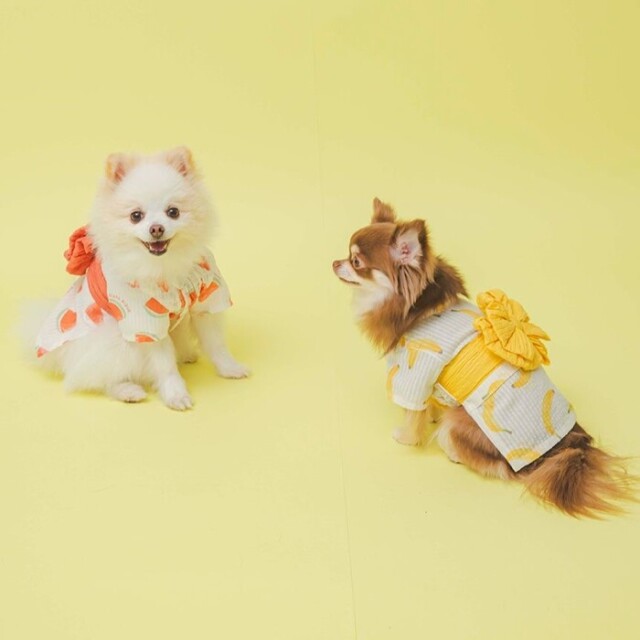 gelato pique（ジェラートピケ）【CAT&DOG】【販路限定商品