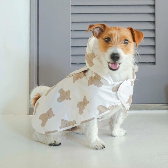 【美品】gelato pique シュナウザージ 上下セットアップ gelato pique（ジェラートピケ）の「【CAT&DOG】【販路限定商品