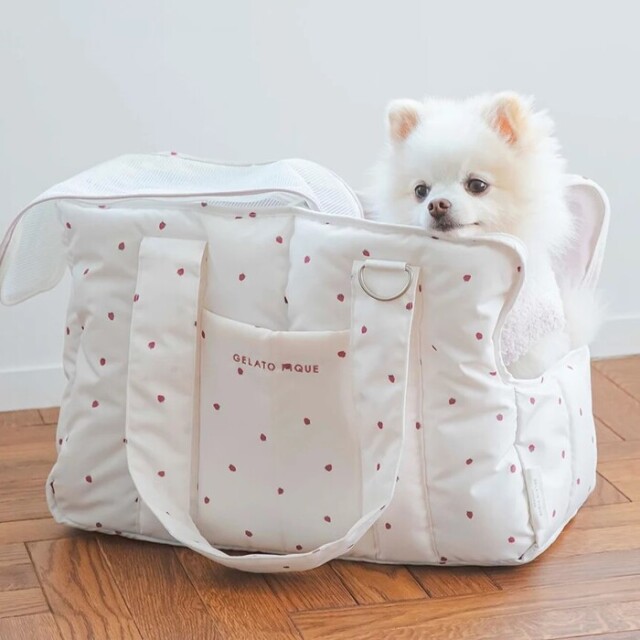 GELATO PIQUE いちご柄ペットキャリーバッグ gelato pique ストロベリーキルティングキャリーバック Pets