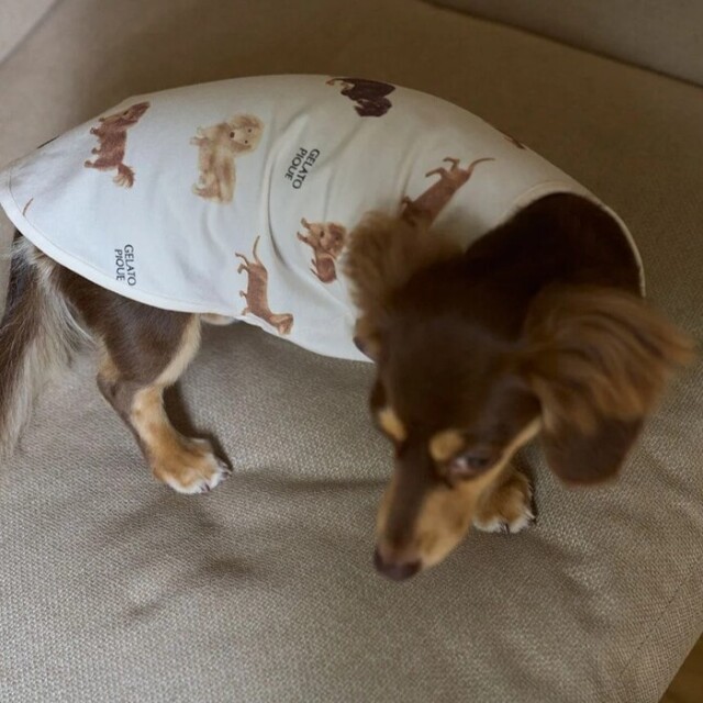 gelato pique ダックスフンド柄プルオーバー Pets-first ONLINESTORE