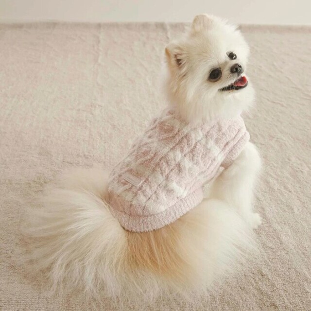 gelato pique ベビモコアランボーダープルオーバー Pets-first