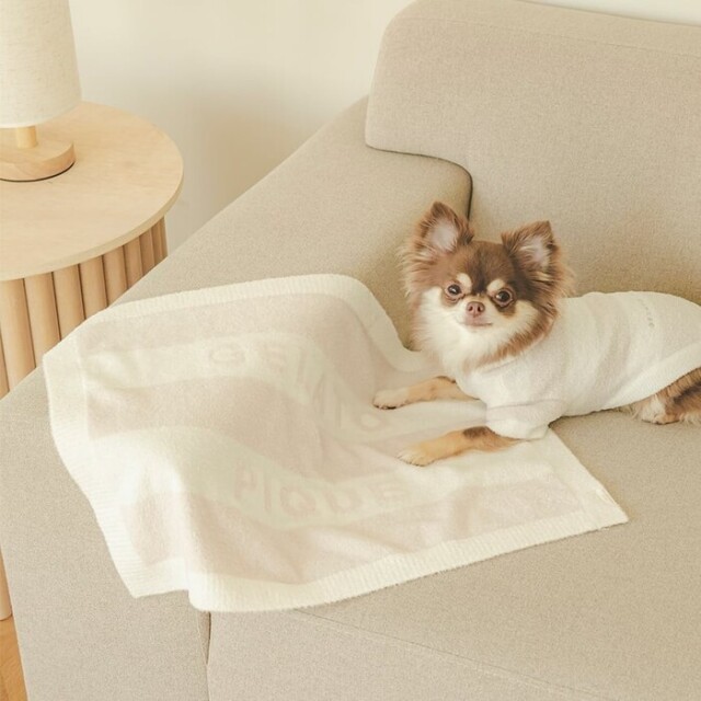 gelato pique スムーズィー2ボーダーブランケット Pets-first ONLINESTORE