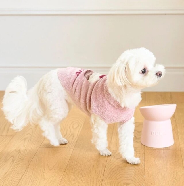 gelato pique ハイスタンドフードボウル Pets-first ONLINESTORE