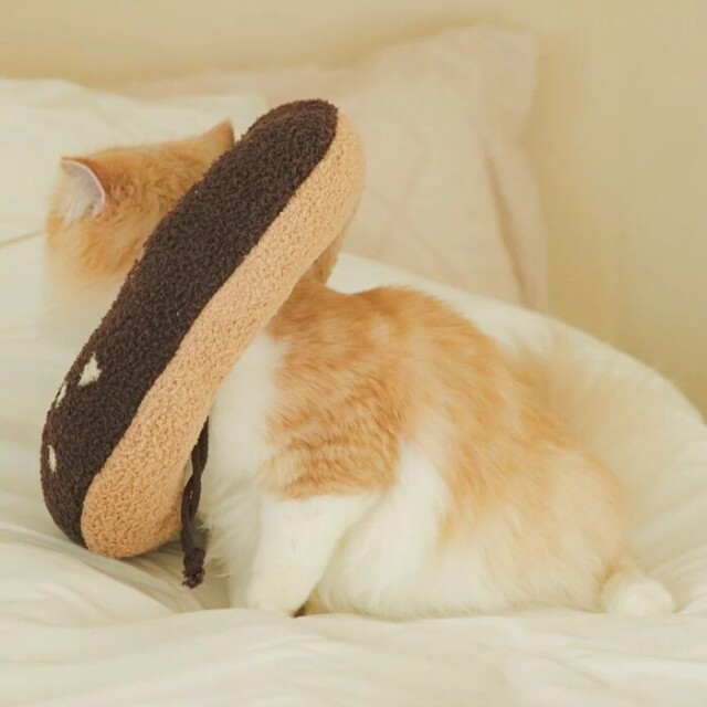 gelato pique ベビモコドーナツカラー Pets-first ONLINESTORE