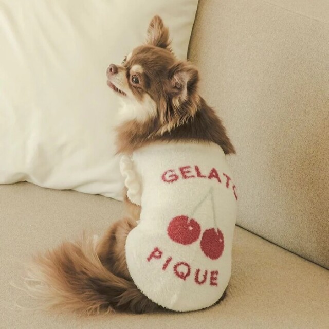 ジェラートピケ ジェラピケ チェリージャガードプルオーバー ホワイト gelato pique スムーズィーチェリージャガードプルオーバー Pets