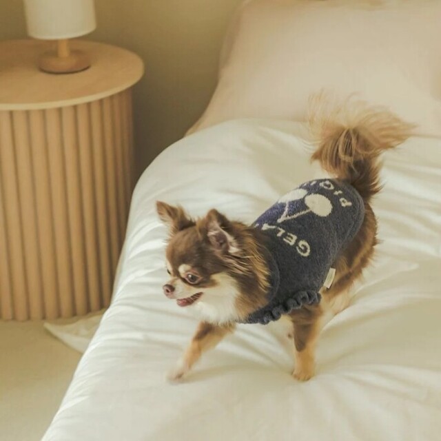 gelato pique スムーズィーチェリージャガードプルオーバー Pets-first