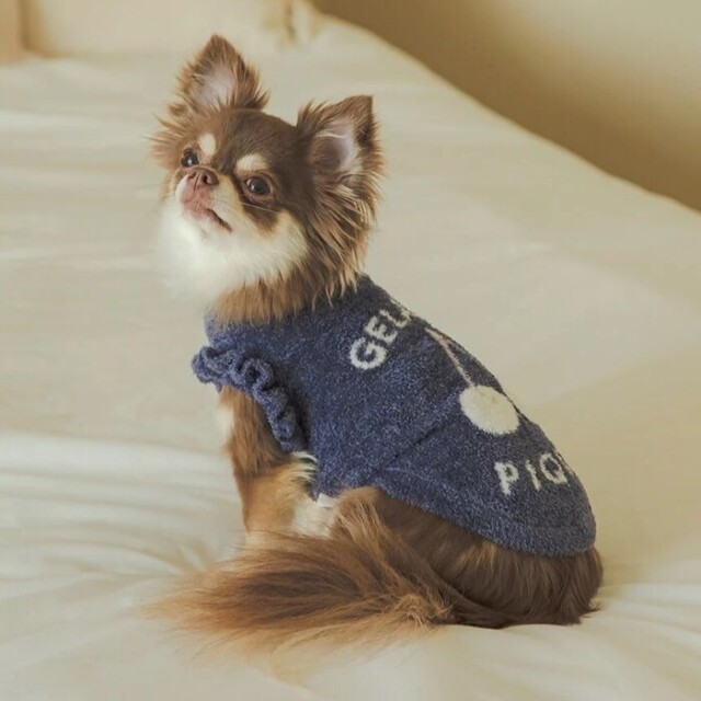 chelmico 犬チーム　フーディ gelato pique スムーズィーチェリージャガードプルオーバー Pets-first