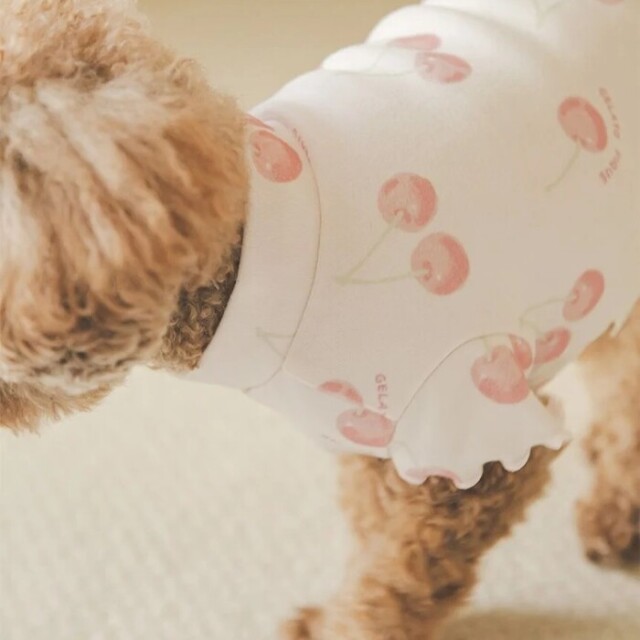gelato pique チェリー柄プルオーバー Pets-first ONLINESTORE
