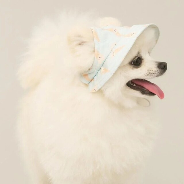 gelato pique ハット（帽子） Pets-first ONLINESTORE