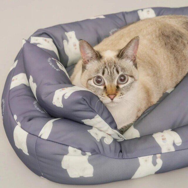 gelato pique 【接触冷感】シロクマ柄COOLINGベッドSサイズ Pets-first