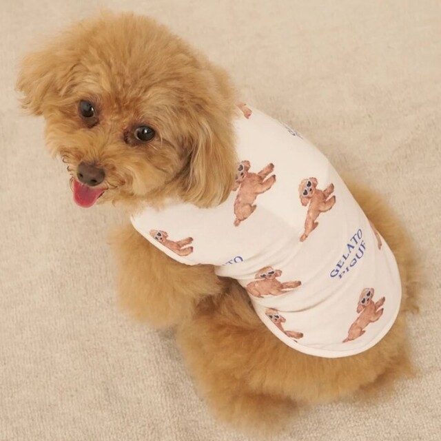 gelato pique 【接触冷感】サマートイプードル柄プルオーバー Pets