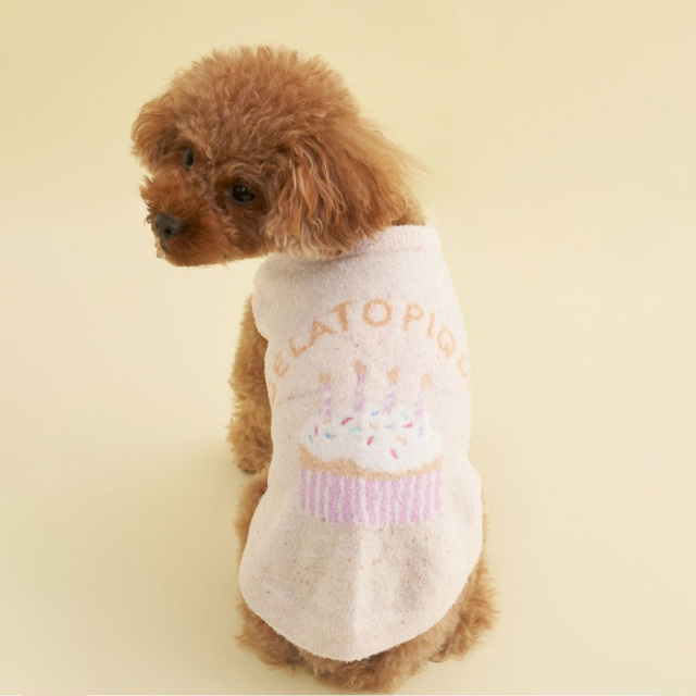 ジェラートピケ