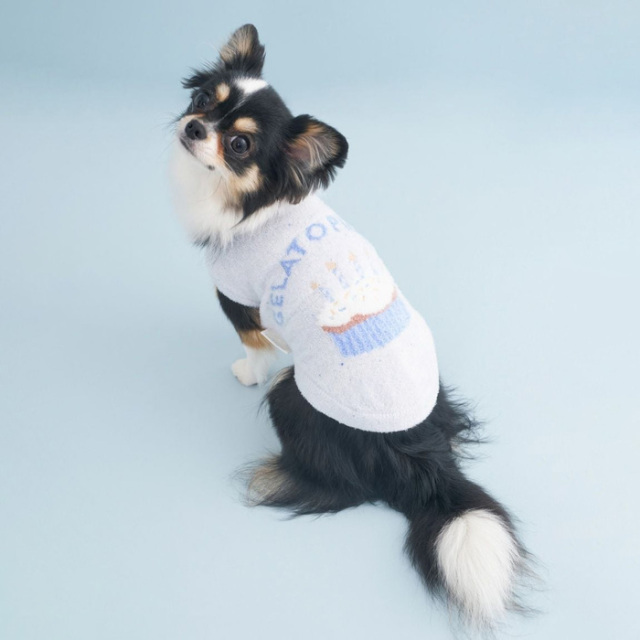 ジェラートピケ