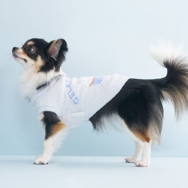 ジェラートピケ