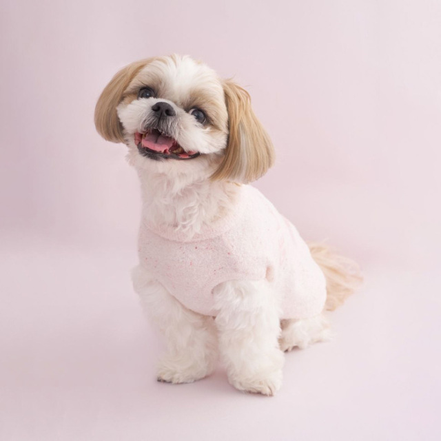 ジェラートピケ