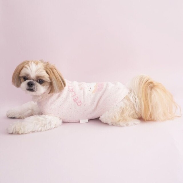 ジェラートピケ