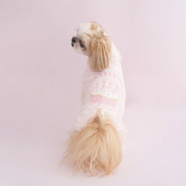 ジェラートピケ