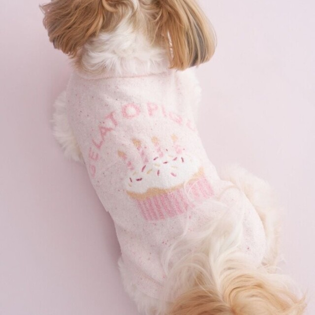 ジェラートピケ