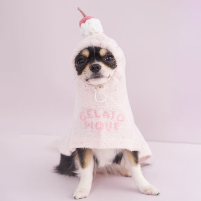 【みぃ♡】GELATO PIQUE 犬刺繍 ルームウェア2点♡ gelato pique 犬 服 「CAT＆DOG」ベビモコチワワジャガードプル