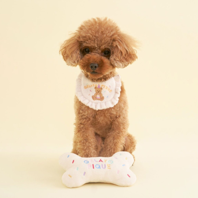 gelato pique　【Birthday】ボーントイ