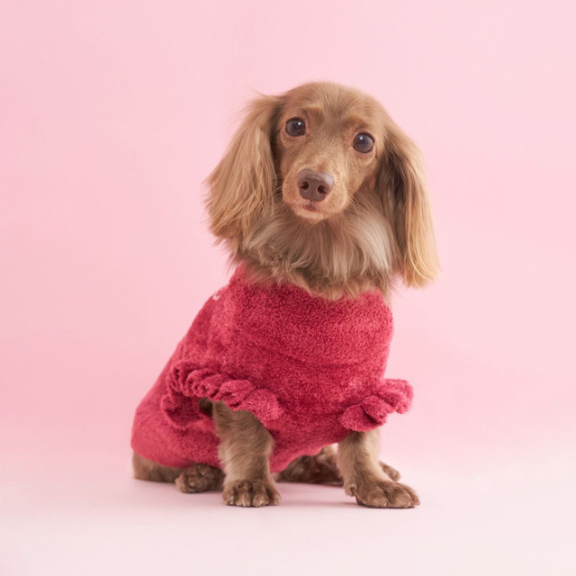 柴犬ジャガードプルオーバー　gelato pique gelato pique 犬 服 「CAT＆DOG」ベビモコ柴犬ジャガードプル