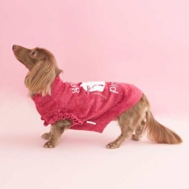 柴犬ジャガードプルオーバー　gelato pique gelato pique 犬 服 「CAT＆DOG」ベビモコ柴犬ジャガードプル