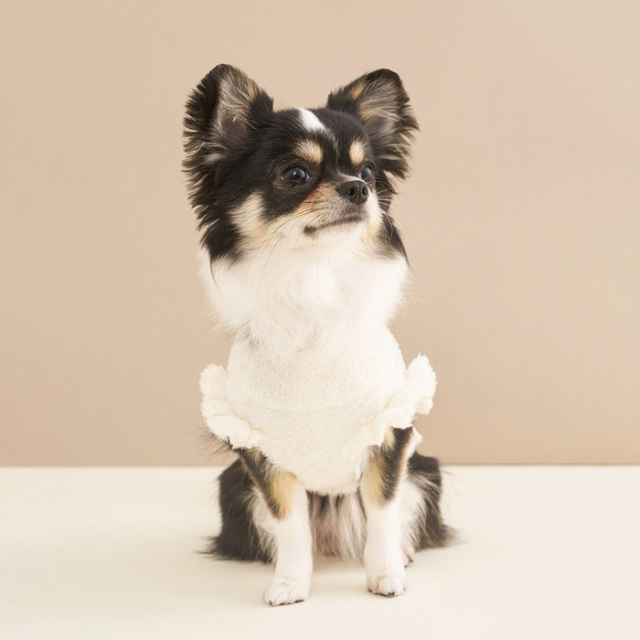 柴犬ジャガードプルオーバー　gelato pique gelato pique 犬 服 「CAT＆DOG」ベビモコ柴犬ジャガードプル