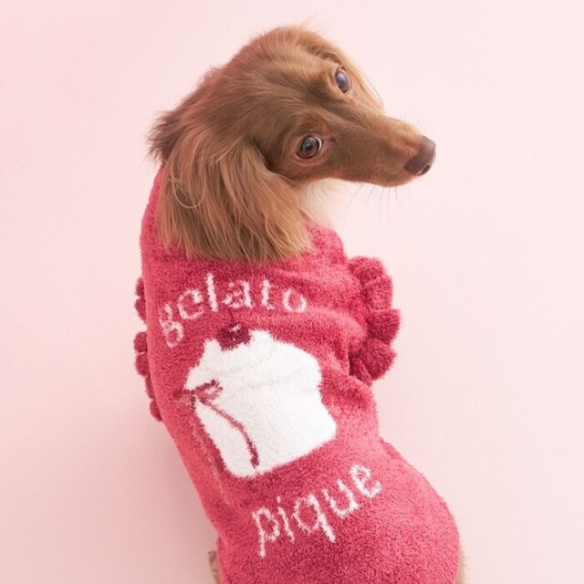 柴犬ジャガードプルオーバー　gelato pique gelato pique 犬 服 「CAT＆DOG」スムーズィーチェリー