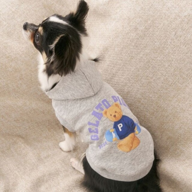 gelato pique スポーティーベア裏毛プルオーバー Pets-first ONLINESTORE