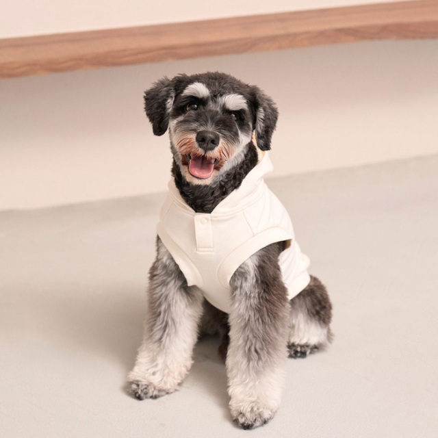 gelato pique スポーティーベア裏毛プルオーバー Pets-first ONLINESTORE