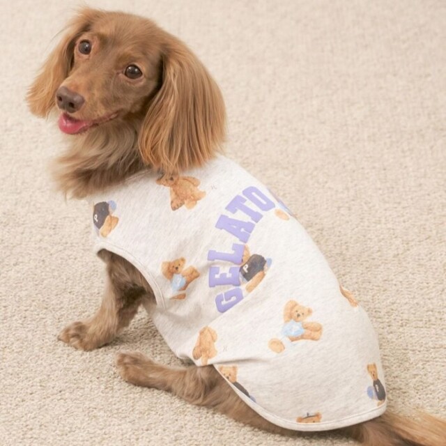 gelato pique　スポーティーベア柄カットソープルオーバー