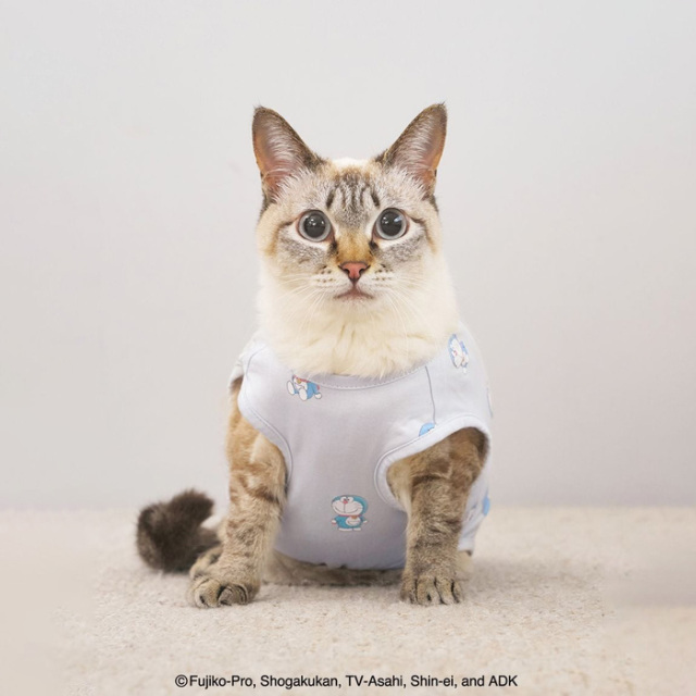 gelato pique 【ドラえもん】総柄プルオーバー / L Pets-first ONLINESTORE