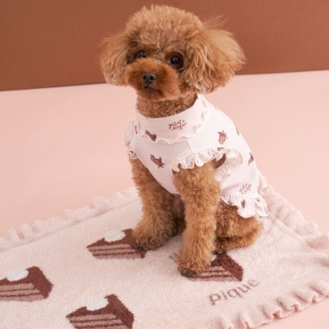 gelato pique トイプードルジャガードブランケット gelato pique トイプードルジャガードブランケット トイプードル」に