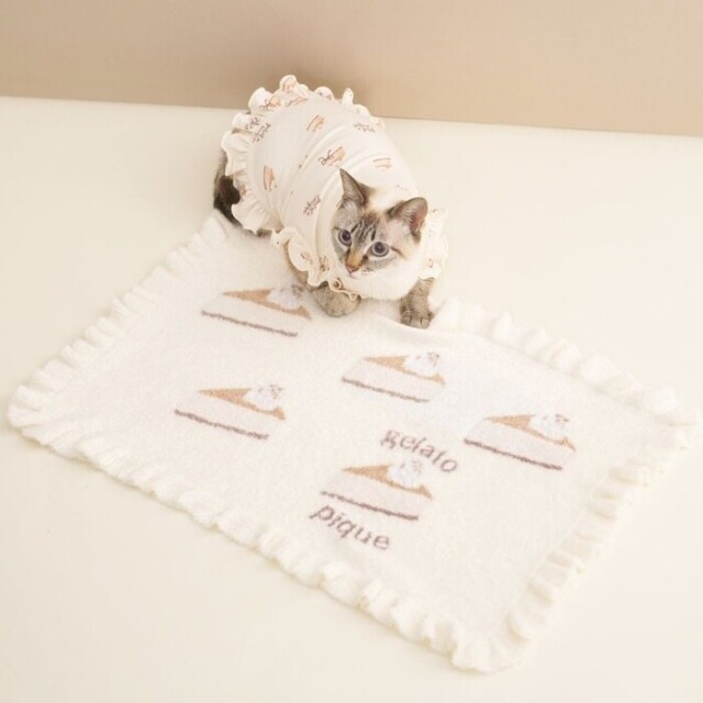 gelato pique オータムケーキジャガードブランケット Pets-first
