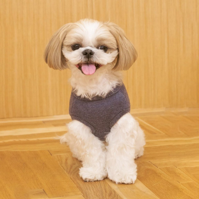 gelato pique ベアジャガードプルオーバー Pets-first ONLINESTORE