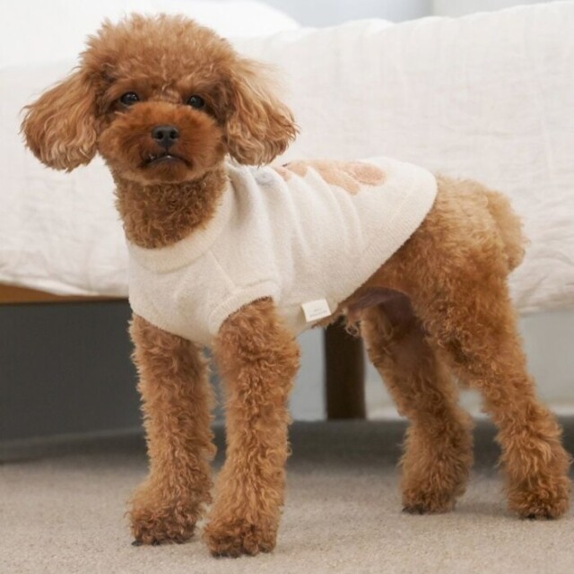 gelato pique ベアジャガードプルオーバー Pets-first ONLINESTORE