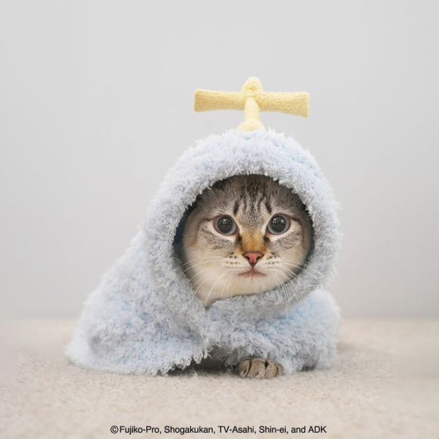 gelato pique 【ドラえもん】ジェラートケープ Pets-first ONLINESTORE