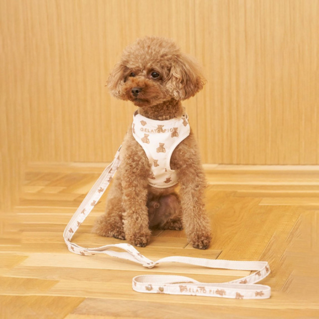 gelato pique　背中あきハーネス/ブラウン