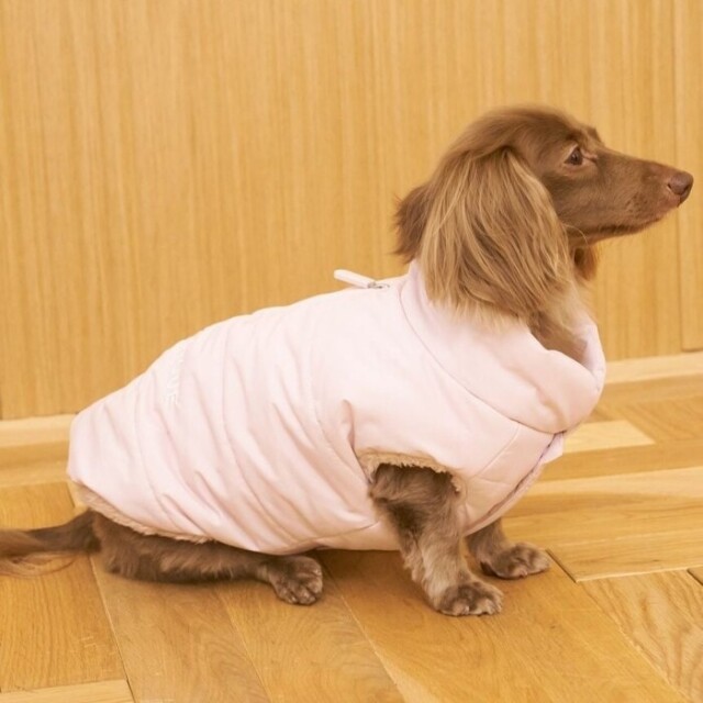 gelato pique 中綿ベスト Pets-first ONLINESTORE