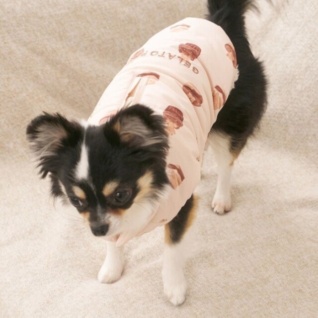 gelato pique 中綿ベスト Pets-first ONLINESTORE