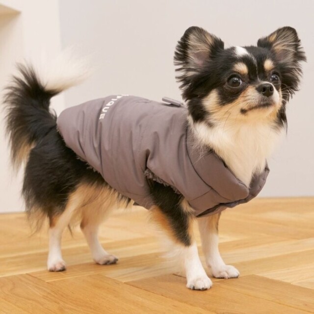 ジェラートピケ 中綿ベスト ブルーカラー　Lサイズ CAT&DOG】中綿ベスト(ウェア)｜ルームウェア・パジャマ通販の