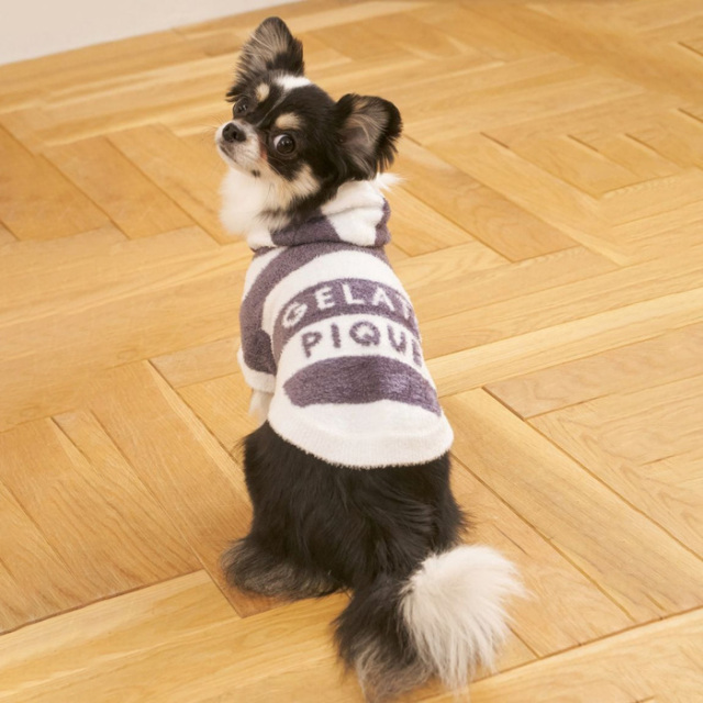 gelato pique　スムーズィー2ボーダーフーディー