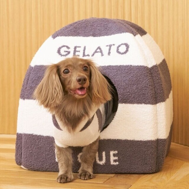 gelato pique ペット用ハウス ピンク ボーダー gelato pique ベビモコハウス Pets-first ONLINESTORE