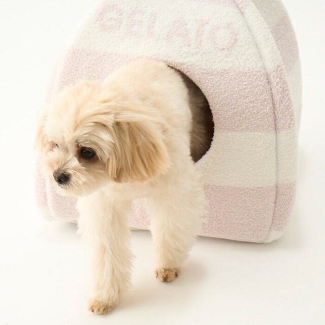 gelato pique ベビモコハウス Pets-first ONLINESTORE