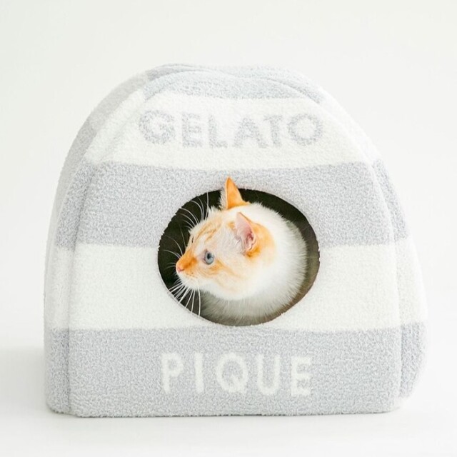 gelato pique ベビモコハウス Pets-first ONLINESTORE