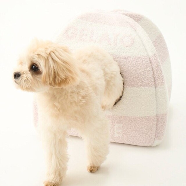 gelato pique ベビモコハウス Pets-first ONLINESTORE