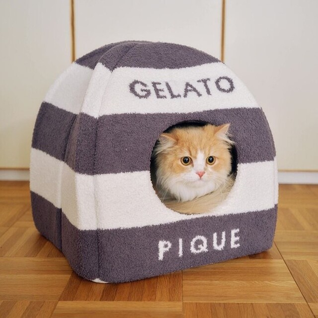 gelato pique　ベビモコハウス