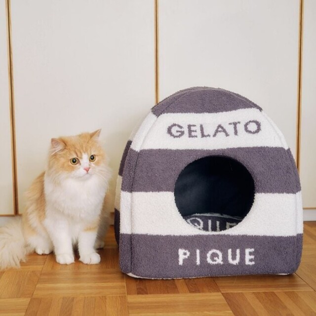gelato pique ベビモコハウス Pets-first ONLINESTORE