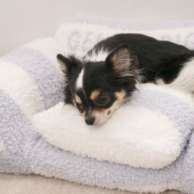 gelato pique ジェラートソファ型ベッドM Pets-first ONLINESTORE