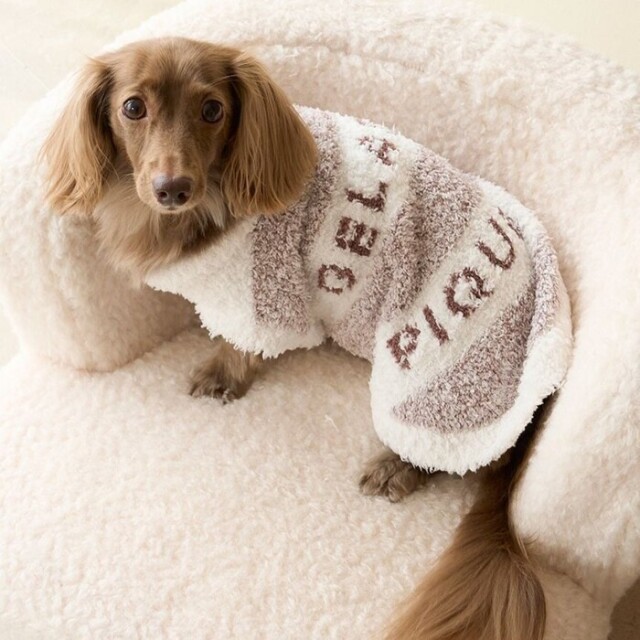 gelato pique ジェラートメランジ2ボーダープルオーバー Pets-first